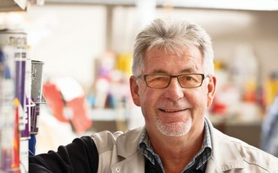 Age at Work Programme