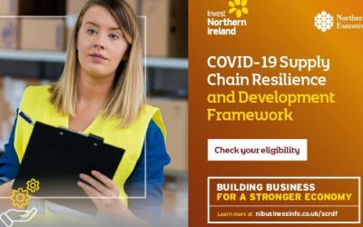 COVID-19 Supply Chain Resilience Development Framework