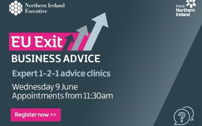 Invest NI EU Exit Event- 1 to 1 Advice Clinics