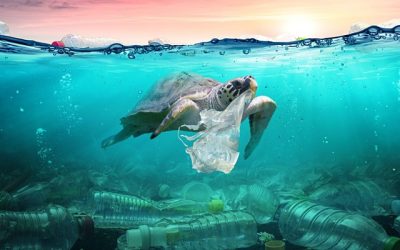 Responsibly Managing Plastics in your Organisation- Webinar