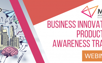 MSW PILOT BUSINESS INNOVATION PROGRAMME : VIRTUAL EVENTS