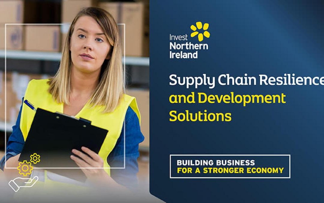 Supply Chain Resilience and Development Solutions – call for applications