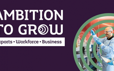 Invest NI launch Ambition to Grow Programme