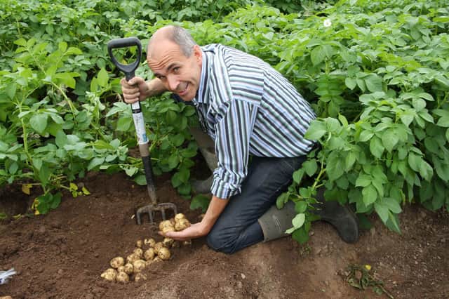 New Garden Potato range from Wilson’s Country