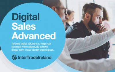 Intertrade Ireland Digital Sales Supports