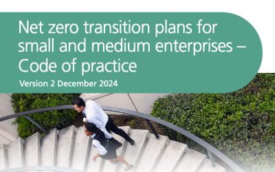SI Flex 3030: A New Standard for SME Net Zero Transition Plans