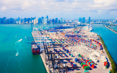 Trading with the US | How to export and import goods under new tariff measures