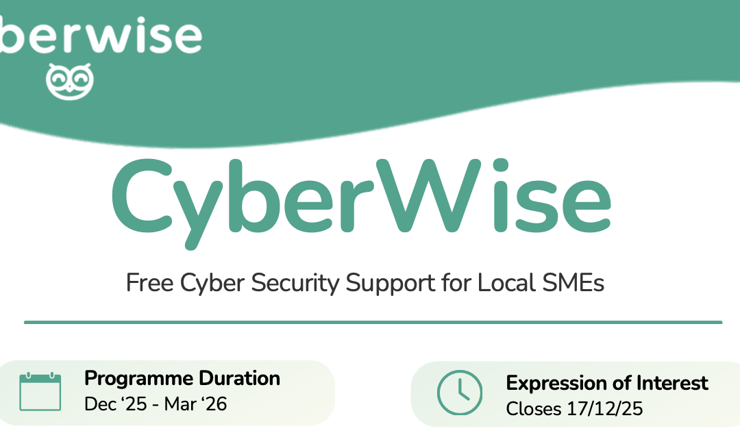CyberWise – a Cybersecurity Support Programme for Ards & North Down