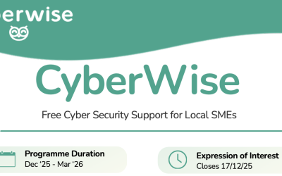 CyberWise – a Cybersecurity Support Programme for Ards & North Down