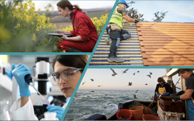 Call for feedback: Shortage Occupation List and Temporary Shortage List Consultation